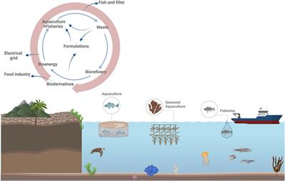 Sustainable production of biofuels and bioderivatives from aquaculture and marine waste